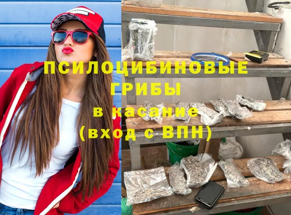 хмурый Богородск