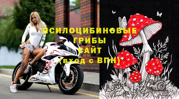 бошки Богородицк