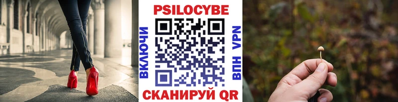 Псилоцибиновые грибы мицелий  Бахчисарай 
